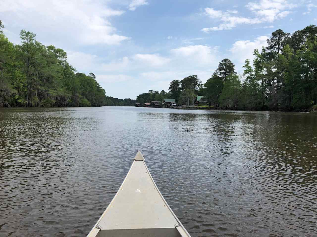 Caddo Lake kayaking