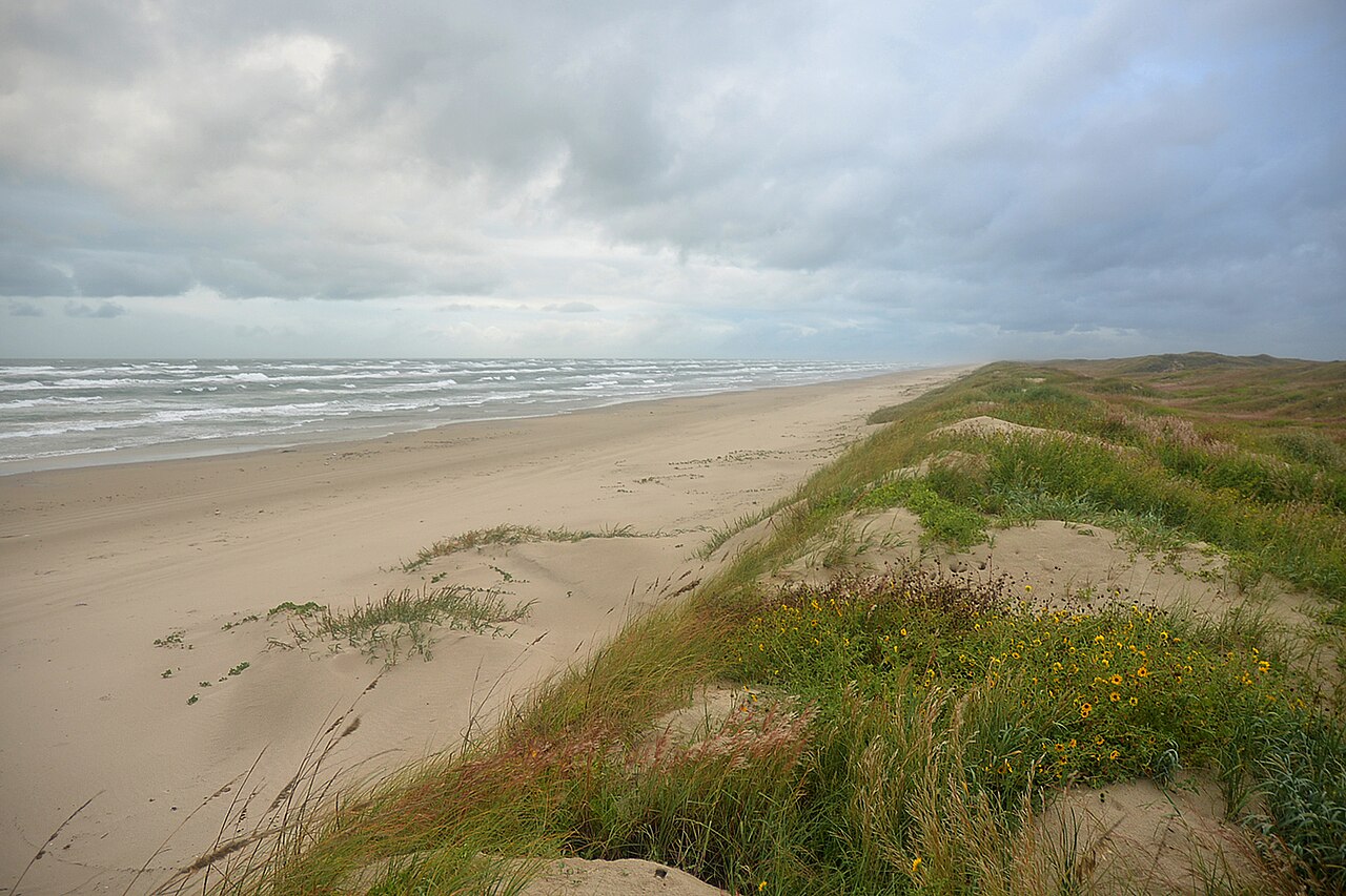 Padre Island National Seashore, beach, Kleberg Co, TX; 1 Nov 2022