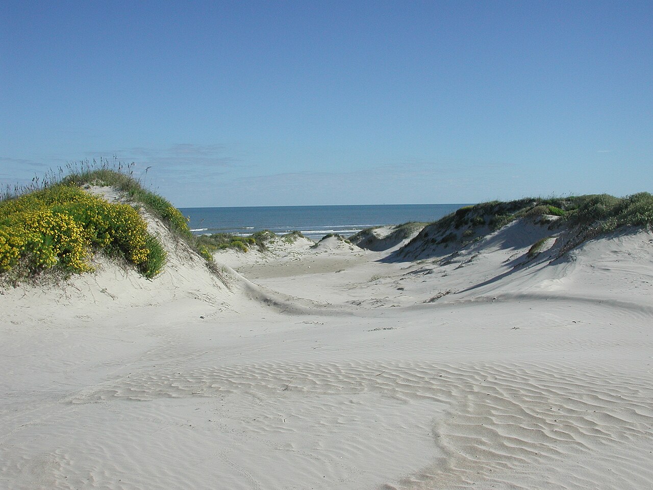Padre Island National Seashore - sand dunes3