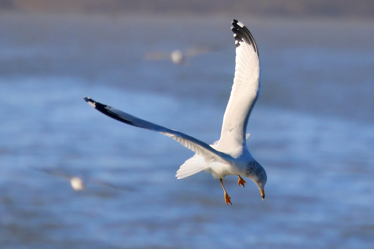 Burnet County photograph