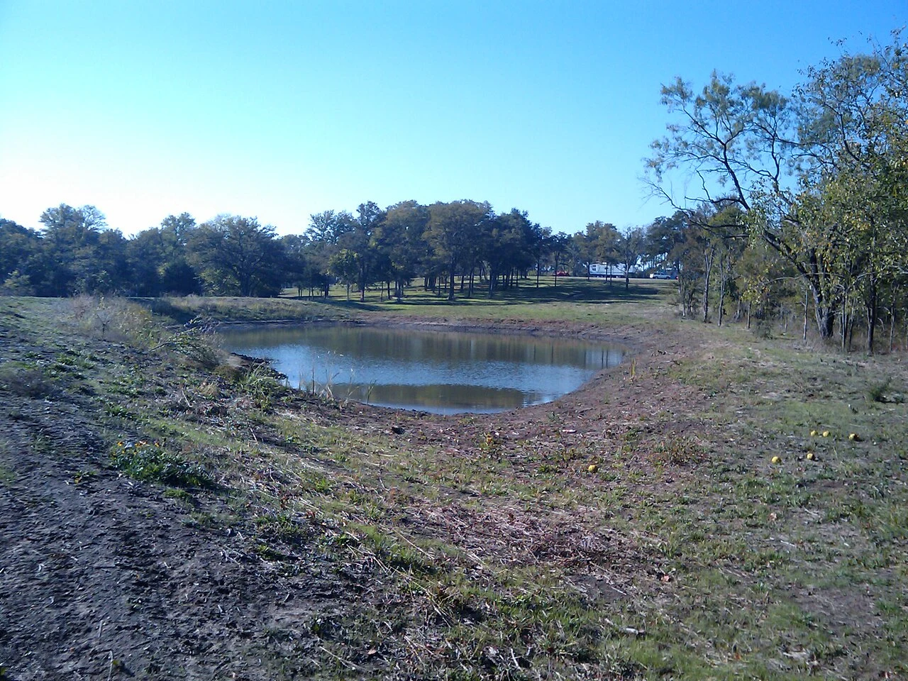 Navarro County photograph