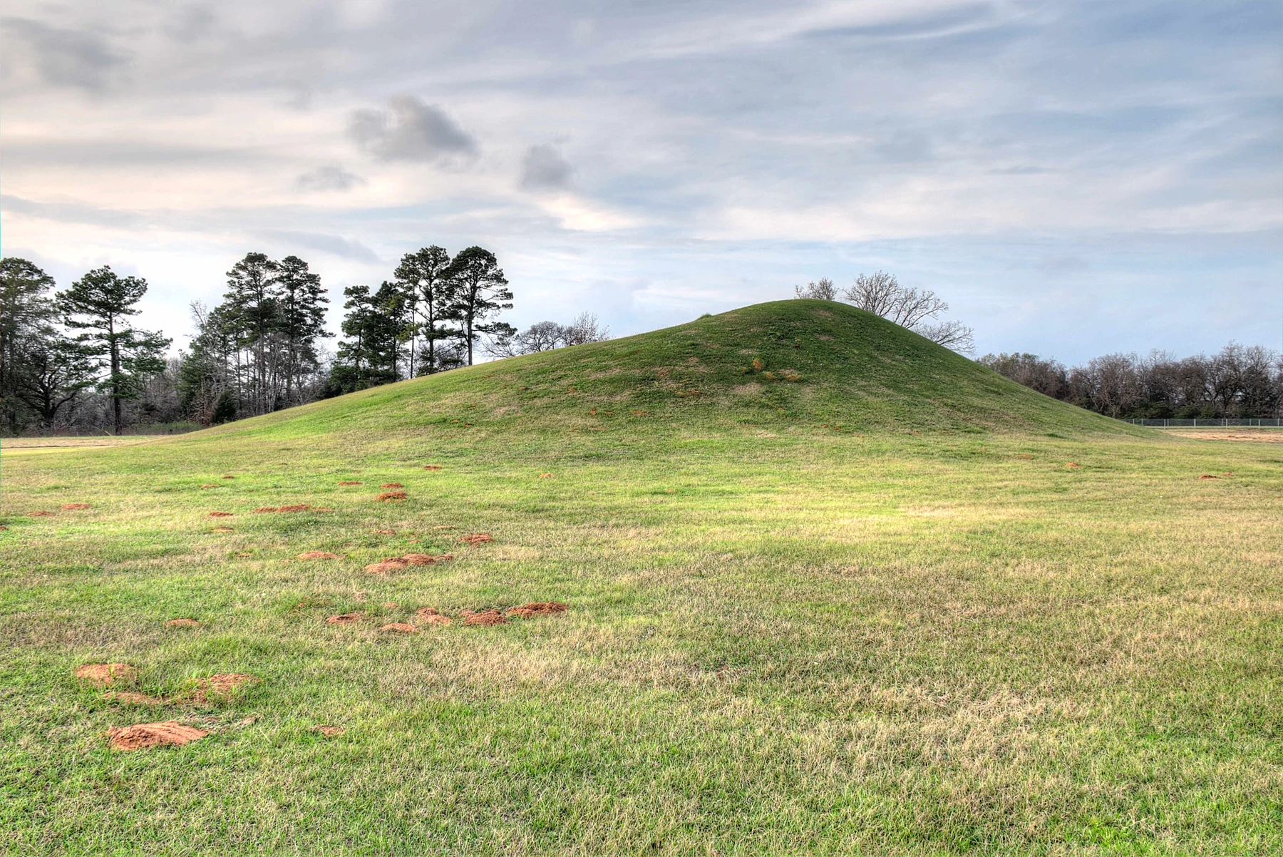 Burial mound at Caddo Mounds State Historic Site . This mound was a cemetery for elite leaders and religious figures.