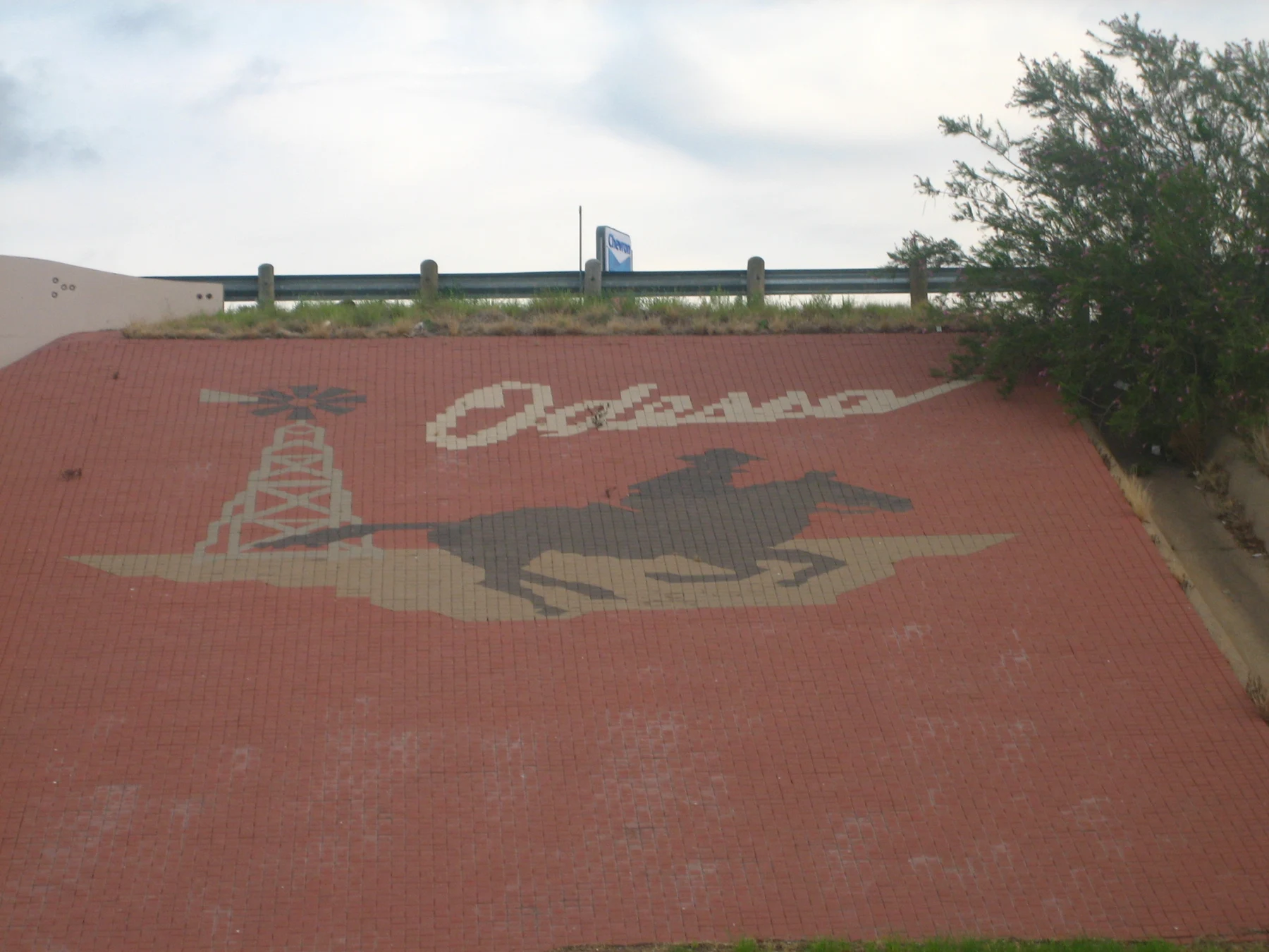 I took photo on July 10, 2009.