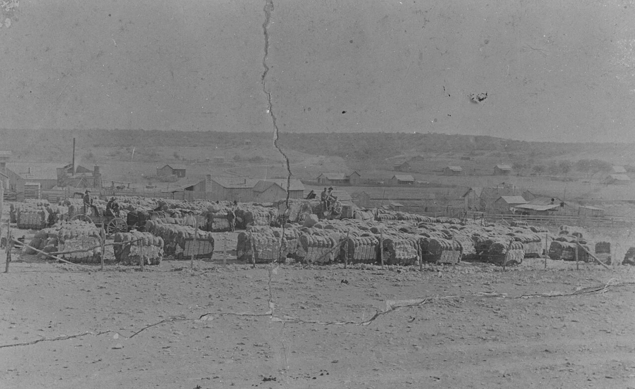 Cotton bales and cotton processing buildings located on the east side of Goldthwaite ca. 1900