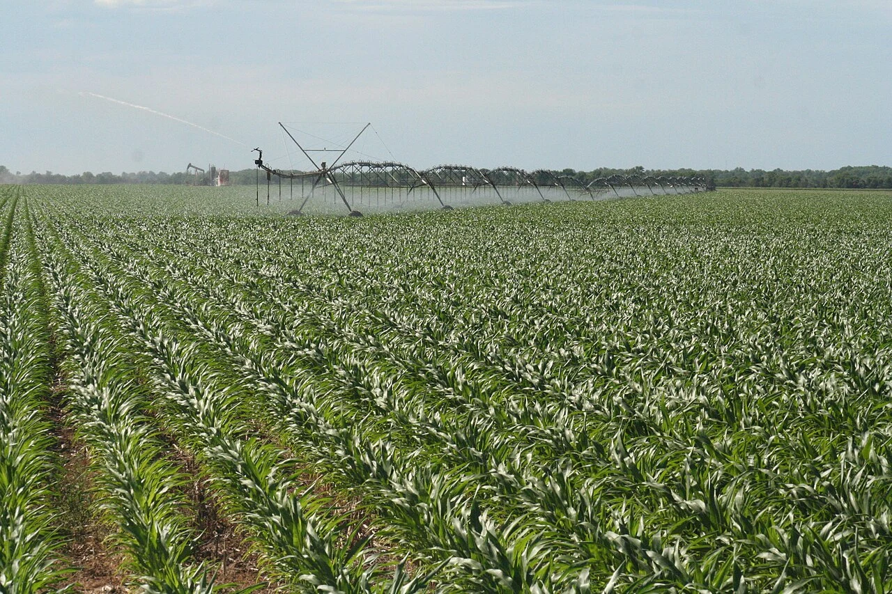 This image or file is a work of a United States Department of Agriculture employee, taken or made as part of that person's official duties. As a work of the U.S. federal government , the image is in the public domain .
