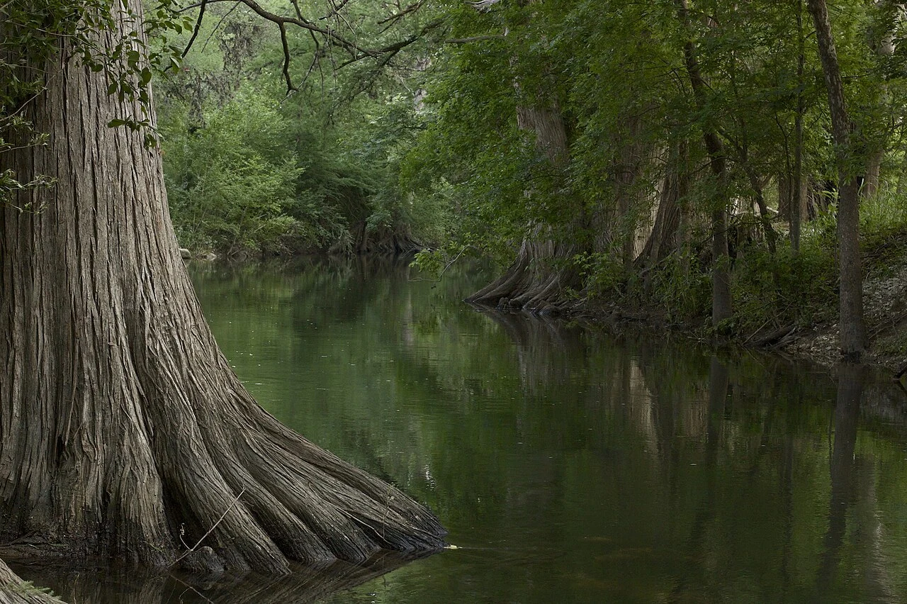 cibolo creek, boerne, tx