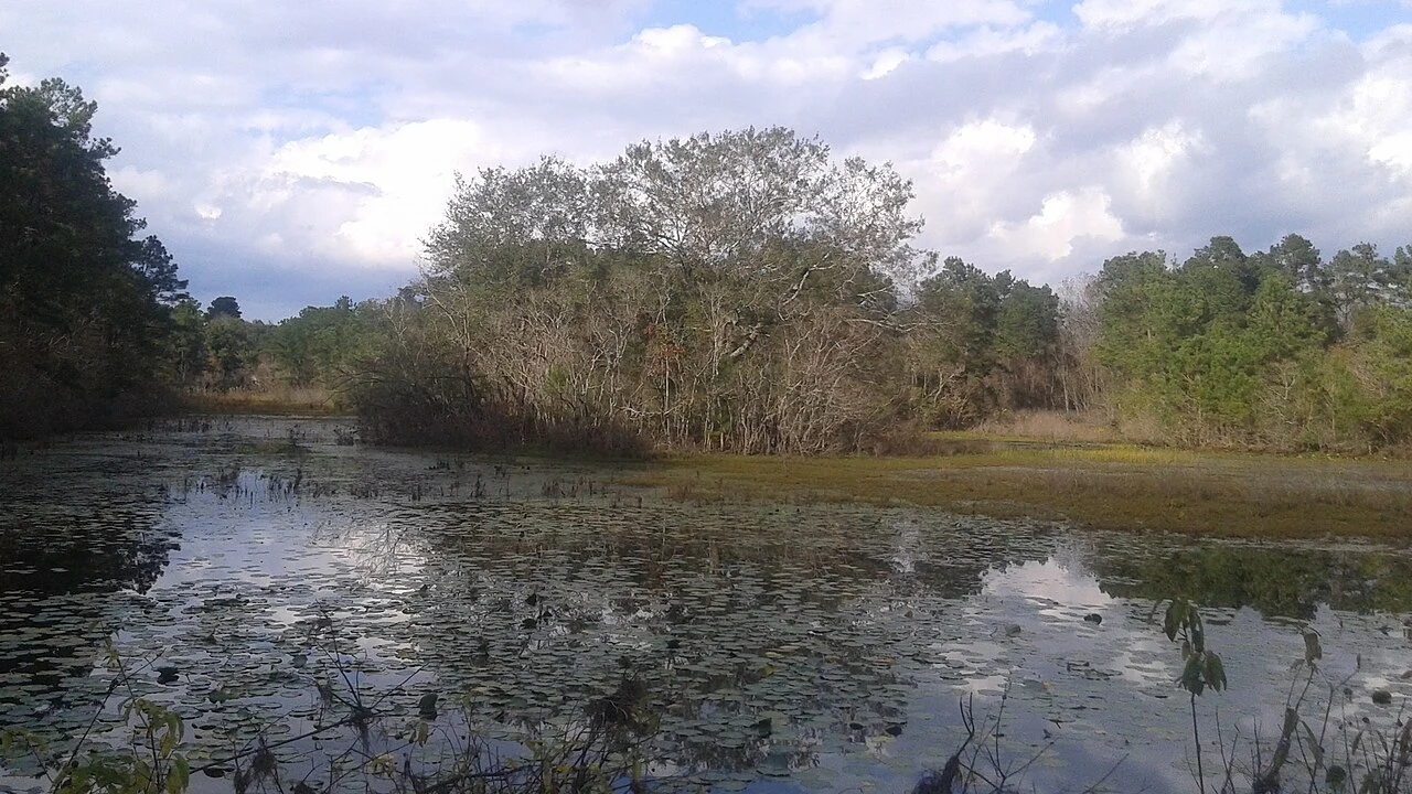 Peach Creek Lake in Patton Village, Texas.