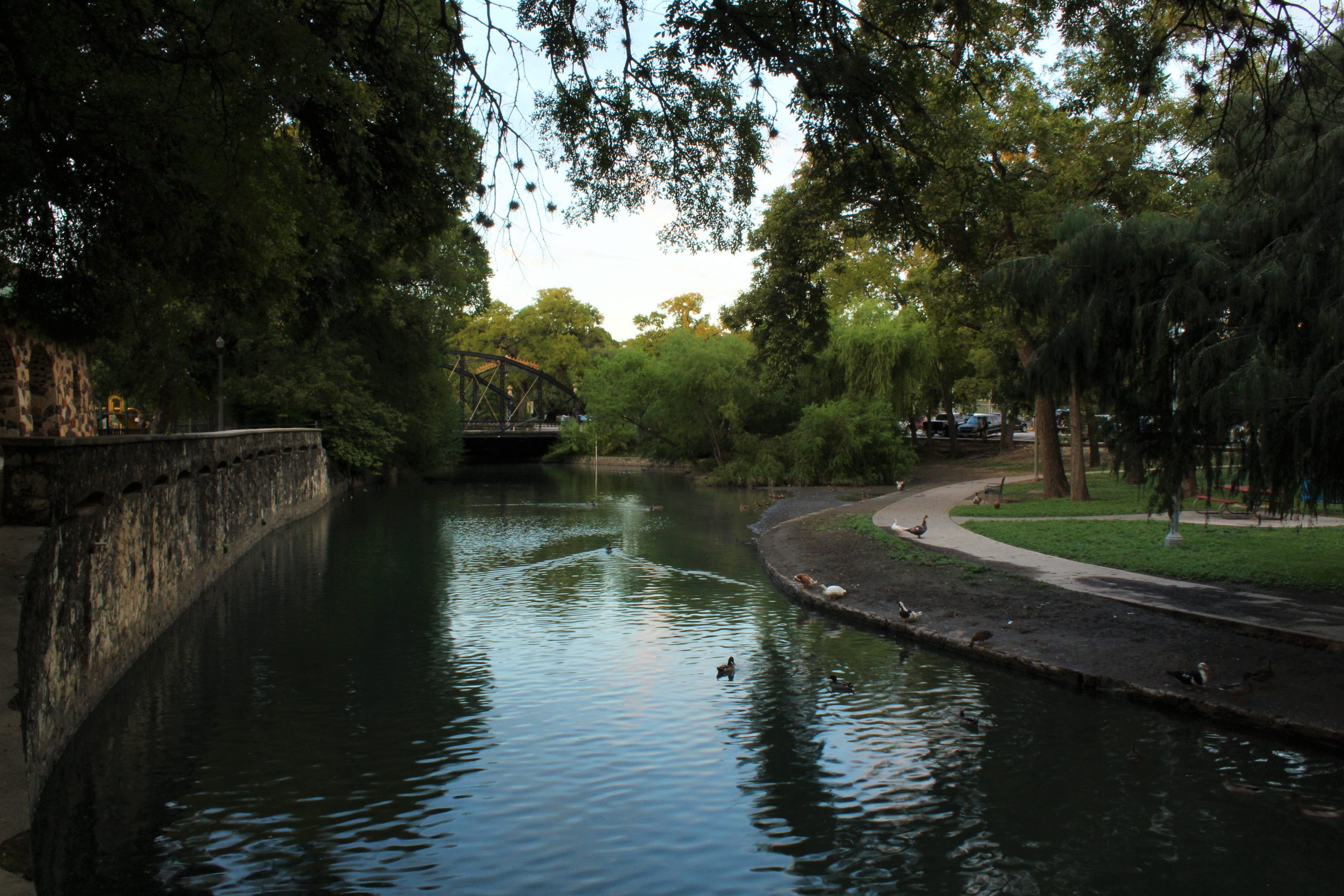 North part of the San Antonio River that runs throughout the park, a favorite place for the ducks.