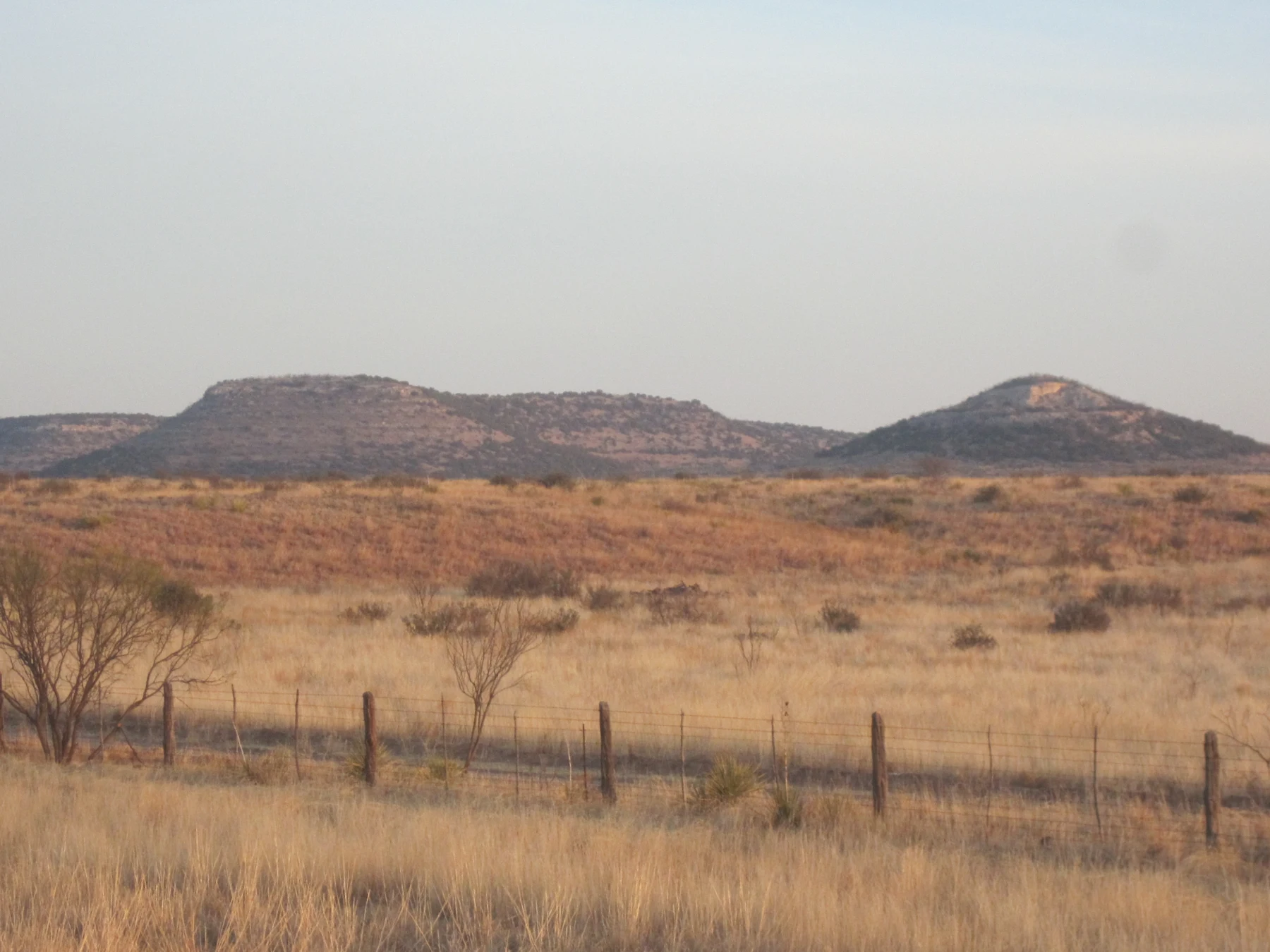 I took photo with Canon camera in Tom Green County, TX.