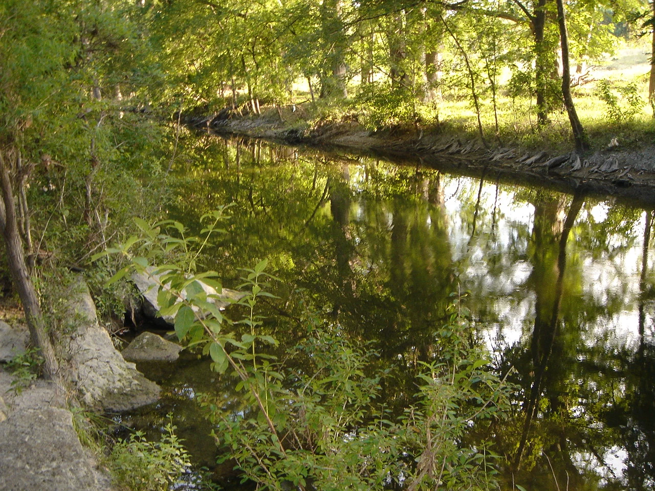 Photo taken by Richard at the Cibolo Nature Center during an event sponsored by Texas Public Radio
