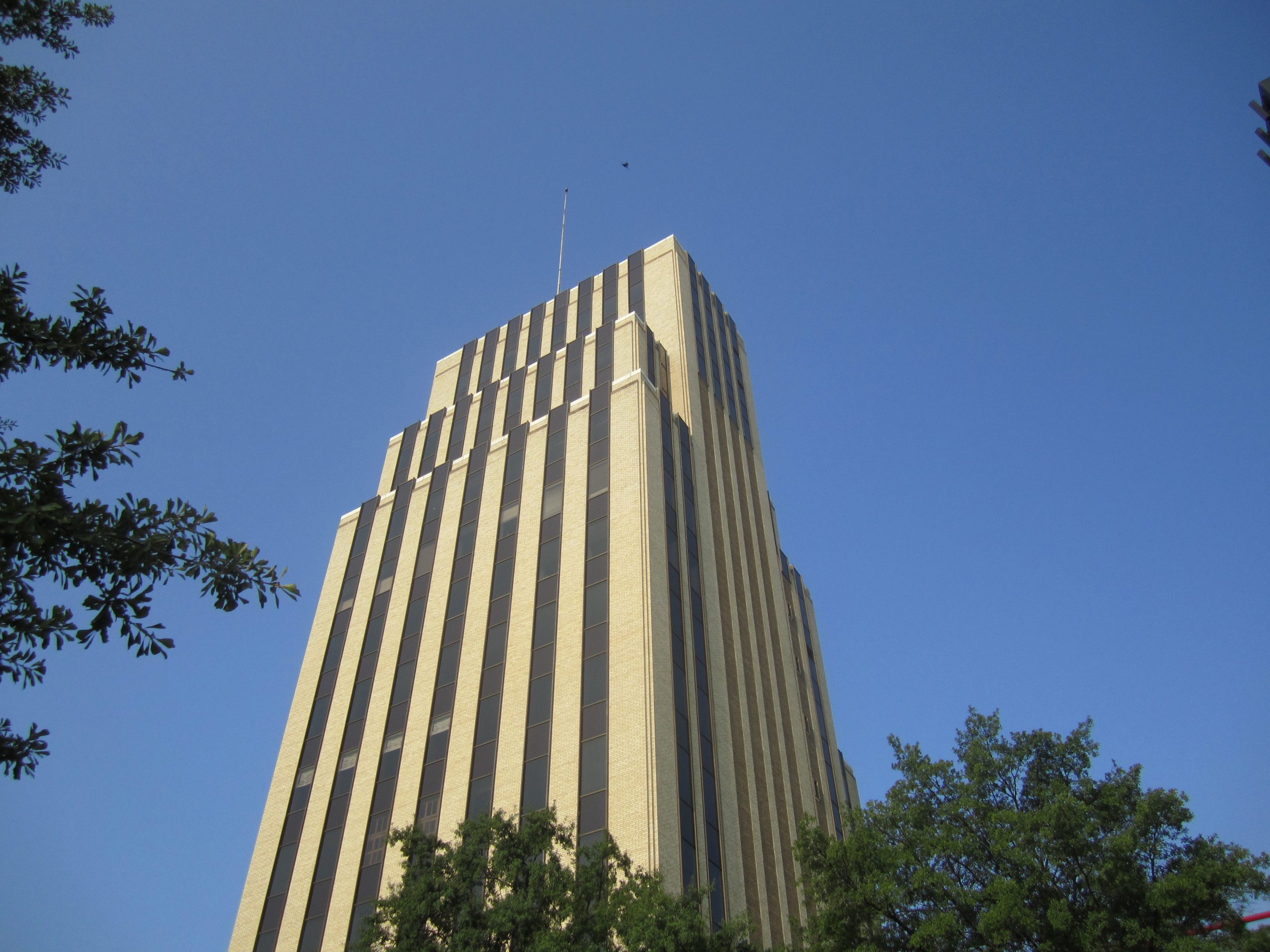 I took photo in Tyler, TX, with Canon camera.