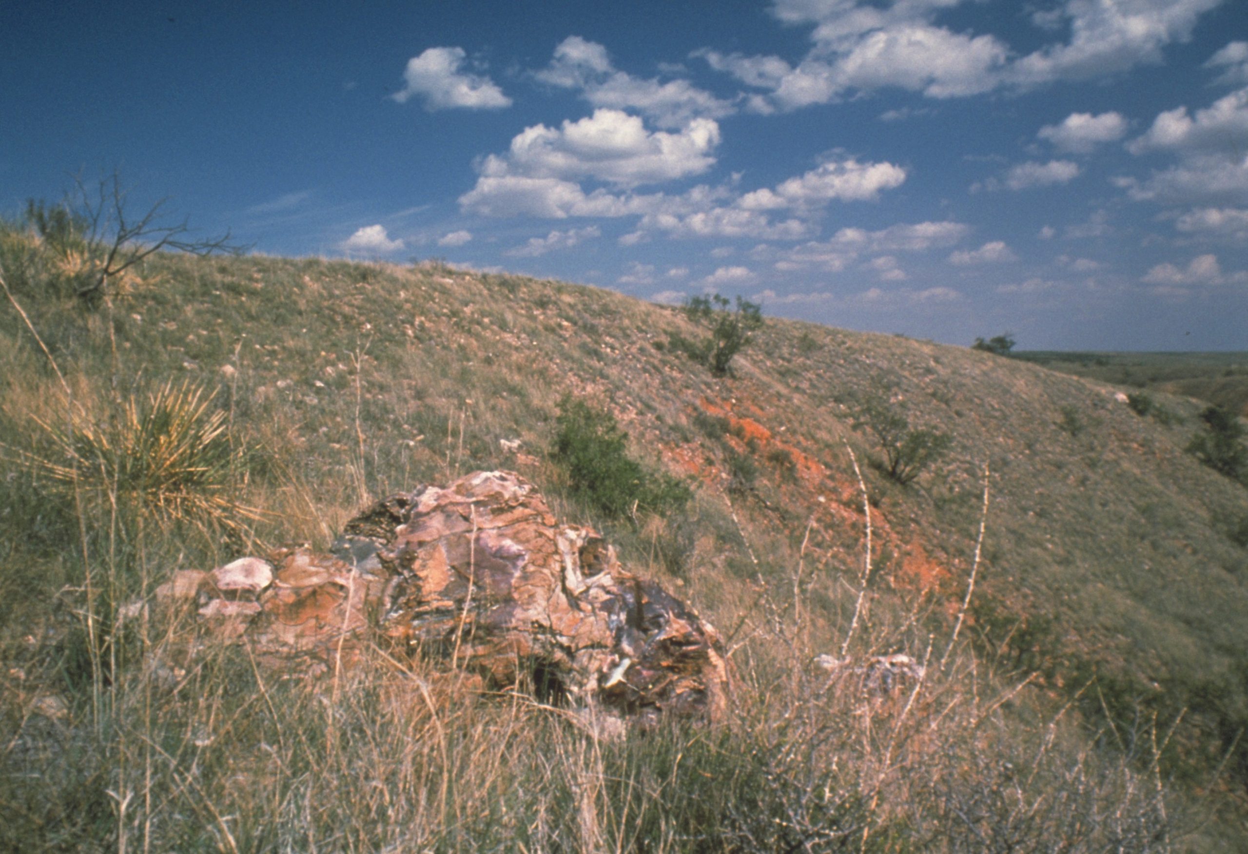 Alibates Flint Quarries National Monument, Texas, USA - Flintstone in the hills