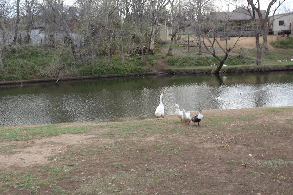 Buffalo Creek as it flows through Hulen Park, Cleburne, Texas