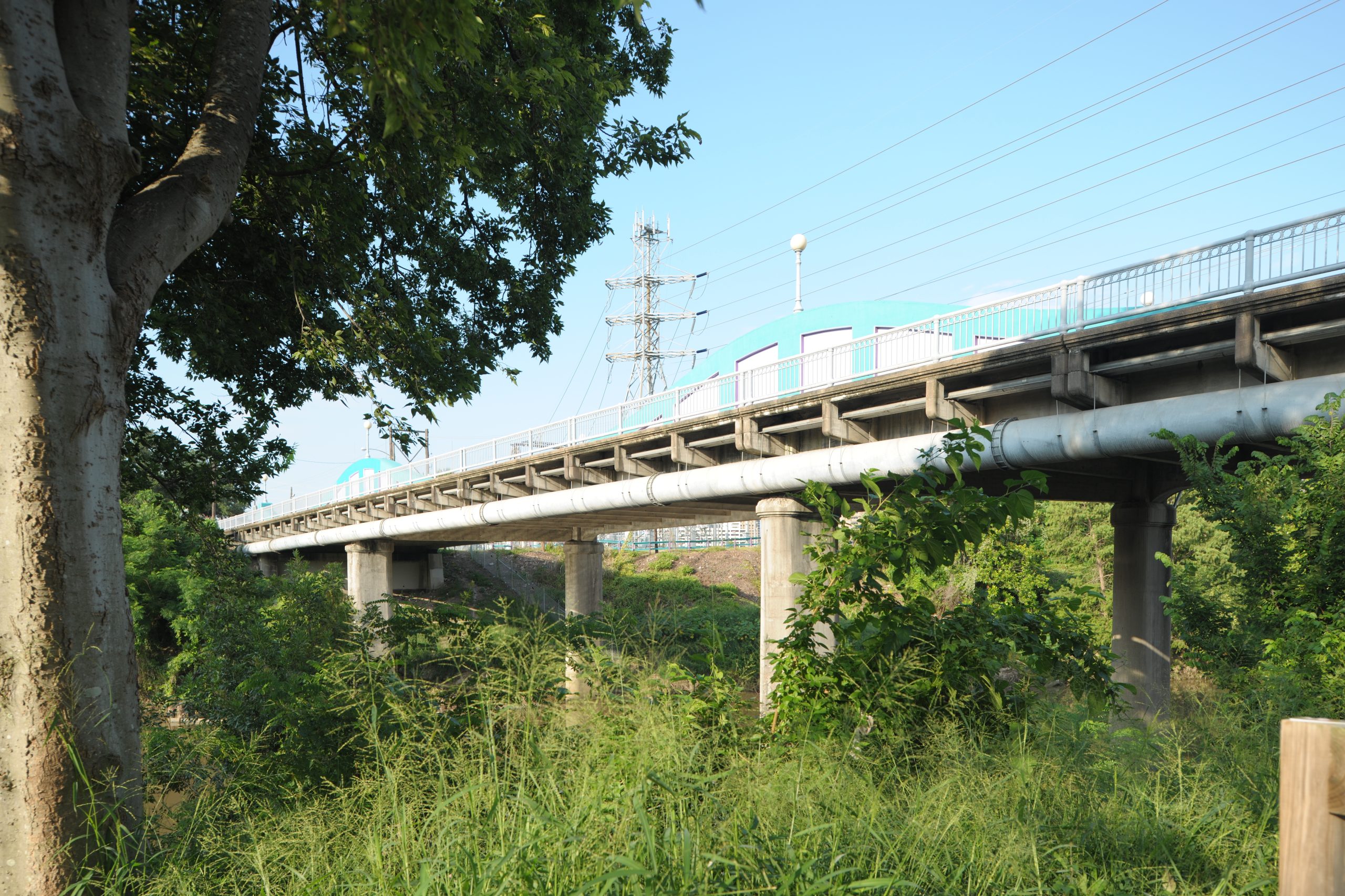 The McKee Street Bridge (1932) is the starting point for the Barrio History Walk and is on the National Register of Historic Places.
