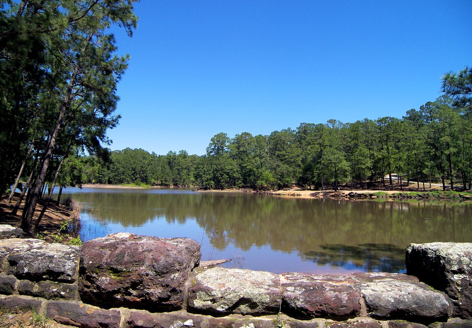 Bastrop state park lake — Bastrop County, Texas