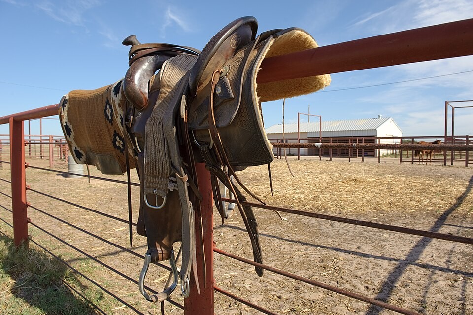 The view outside a set of working pens in Stanton, Texas. — Martin County, Texas
