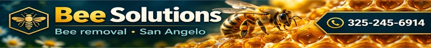 Bee Solutions — Banner